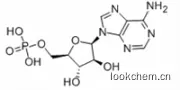 單磷酸阿糖腺苷