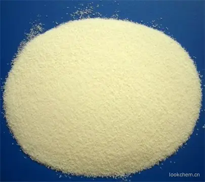 輔酶Q10