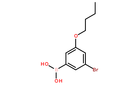 3-溴-5-丁氧基苯硼酸