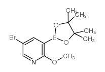 5-溴-2-甲氧基-3-(4,4,5,5-四甲基-1,3,2-二氧硼雜環戊烷-2-基)吡啶