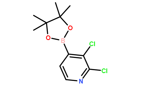 2.3二氯吡啶-4-硼酸频哪醇酯