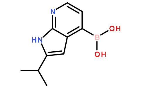 (2-propan-2-yl-1H-pyrrolo[2,3-b]pyridin-4-yl)boronic acid