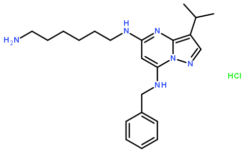 N5-(6-氨基己基)-3-異丙基-N7-芐基吡唑并[1,5-A]嘧啶-5,7-二胺