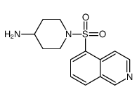 1-isoquinolin-5-ylsulfonylpiperidin-4-amine