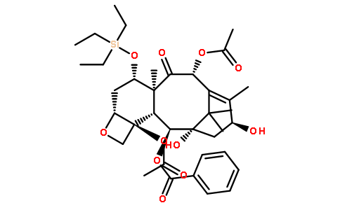 紫杉醇N-2