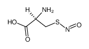 S-nitrosocysteine