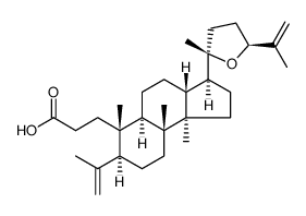 Richenoic acid对照品(标准品) | 134476-74-7