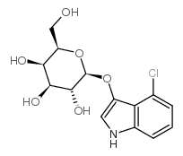 4-氯-3-吲哚基 beta-d-吡喃半乳糖苷