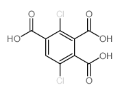 2,5-二氯-1,3,4-苯三甲酸