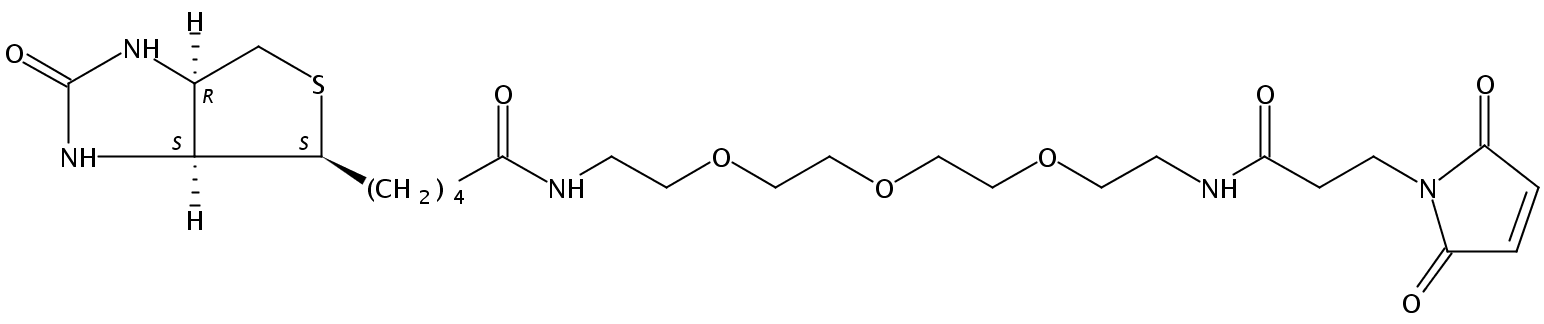 生物素-三聚乙二醇-酰胺-马来酰亚胺