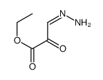 ethyl 3-hydrazinylidene-2-oxopropanoate