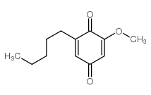 櫻草素