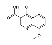 4-氯-8-甲氧基喹啉-3-羧酸