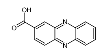 phenazine-2-carboxylic acid