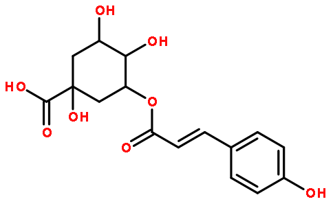 對香豆酰奎尼酸