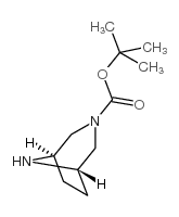 3,8-二氮杂双环[3.2.1]辛烷-3-羧酸叔丁酯