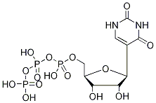 假尿苷三磷酸