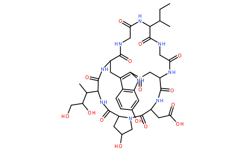 β-鵝膏菌素