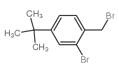 2-溴-4-叔丁基芐基溴