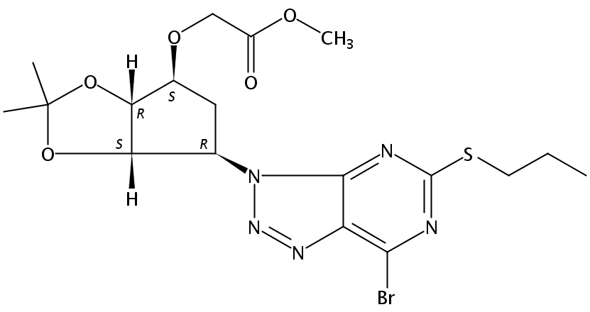 分子结构式