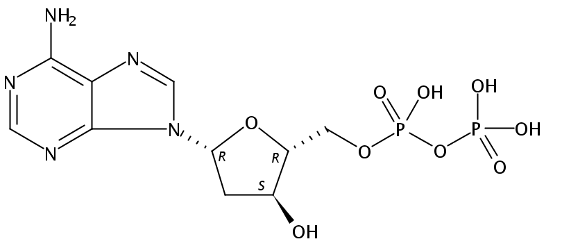 2'-脫氧腺苷-5'-二磷酸酯