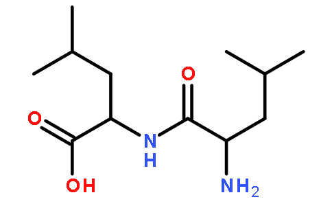 亮氨酸