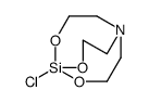 5-chloro-4,6,11-trioxa-1-aza-5-silabicyclo[3.3.3]undecane