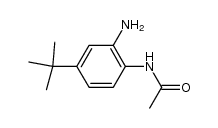 2-amino-4-tert-butylacetanilide