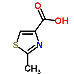 2-甲基-1,3-噻唑-4-羧酸