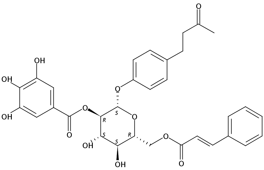 4-羟基苯基-2-丁酮-4-o-b-d(2-o-桂皮酰-6-o-没食子酰葡
