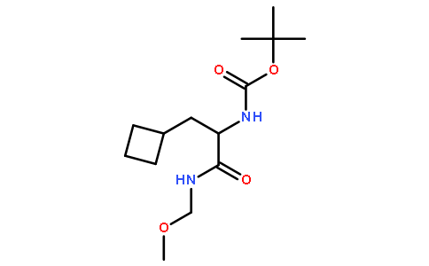 N-[1-(環丁基甲基)-2-(甲氧基甲基氨基)-2-氧代乙基]-氨基甲酸1,1-二甲基乙基酯