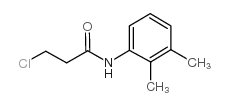 3-氯-N-(2,3-二甲基苯基)丙酰胺