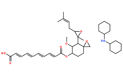 阿帕替尼