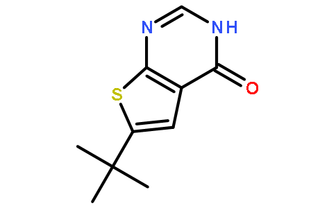 6-叔丁基-3H-噻吩[2,3-D]嘧啶-4-酮