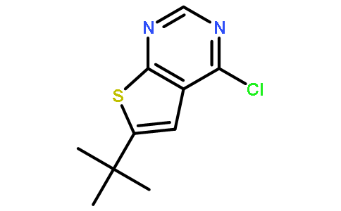 6-叔丁基-4-氯-噻吩[2,3-D]嘧啶