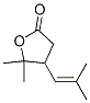 4,5-二氫-5,5-二甲基-4-(2-甲基-1-丙烯基)呋喃-2(3H)-酮