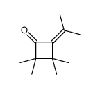 2,2,3,3-tetramethyl-4-propan-2-ylidenecyclobutan-1-one