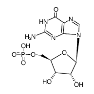 5'-guanosine hydrogen monophosphate