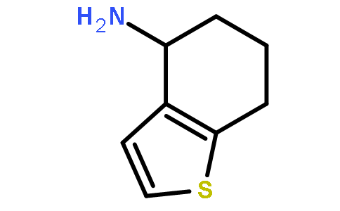 4,5,6,7-四氢苯并[b]噻吩-4-胺