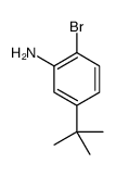 2-溴-5-叔丁基苯胺