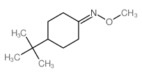 4-t-Butylcyclohexanon-O-methyloxim