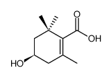 4-羟基-2,6,6-三甲基-1-环己烯羧酸
