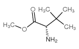 L-叔亮氨酸甲酯