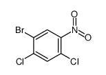 2,4-二氯-5-溴硝基苯