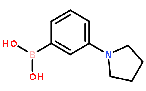 3-(N-四氢吡咯基)苯硼酸