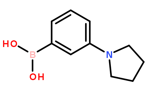 3-(N-四氫吡咯基)苯硼酸