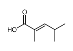 24-二甲基-2-戊烯酸