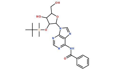 N6-苯甲酰基-2'-O-(叔丁基二甲基硅烷基)腺苷