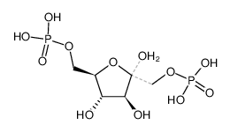 fructose-1,6-(bis)phosphate