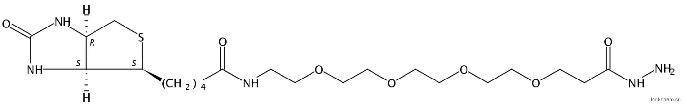 生物素4聚乙二醇肼